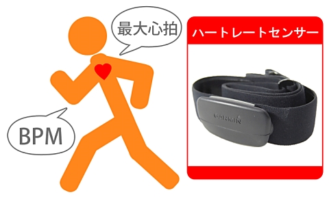 ハートレートセンサー
