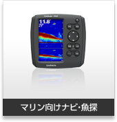 海・フィッシング